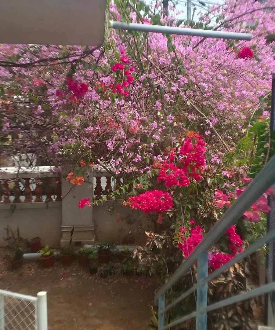 Ostello The Cave House Kochi 0*,